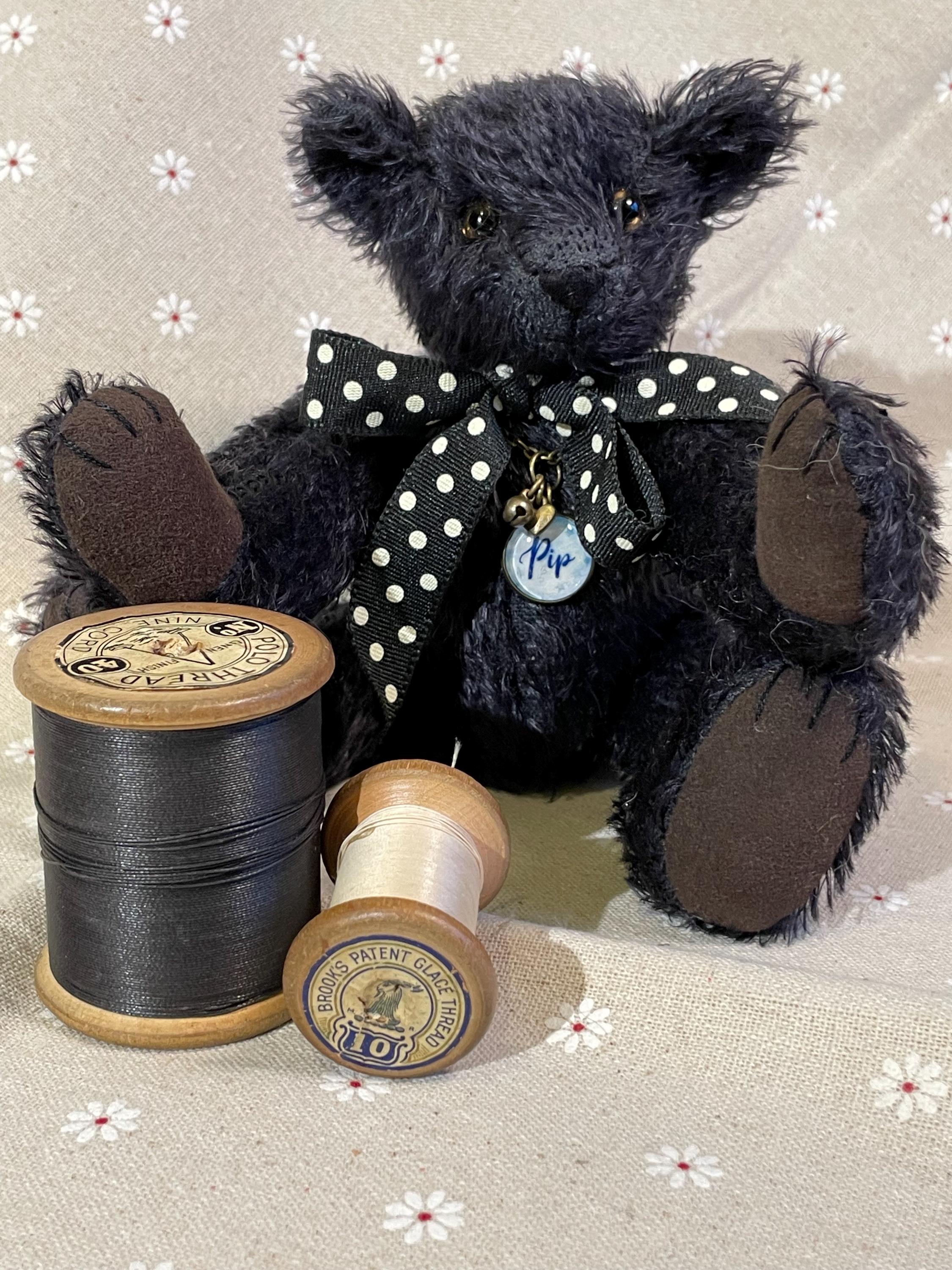 A Beautiful Black Bear Called 