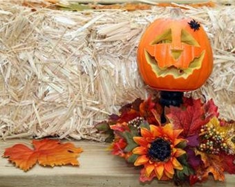 Fiber Optic Pumpkins Etsy