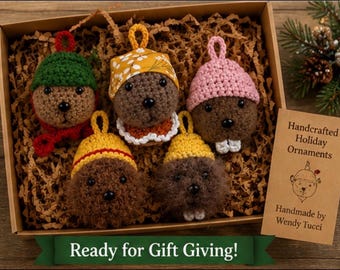 Set of 5 Jug Band Inspired Christmas Ornaments
