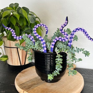 Sea Witch Octopus Tentacle Stakes, Plant Stakes, Plant lover Gift, Unique plant Gift, witchy gift, birthday plant gift