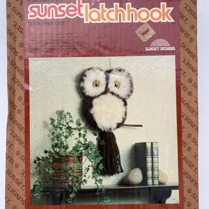 May include: A Sunset Latchhook kit box for a Wide-Eyed Owl design. The packaging features a finished 10 inch by 22 inch owl wall hanging with brown and cream yarn, displayed above a shelf with a wicker plant basket and two books.