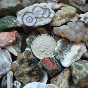 May include: A collection of colorful, polished rocks and stones, including a silver coin. The rocks display a variety of patterns and colors, including white, brown, red, green, and yellow. The coin features a profile of a person.