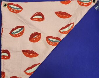 Bearded dragon hammock. Red lips