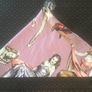 bearded dragon hammock. zombie pin ups