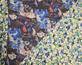 Hamaca para dragones barbudos. Historia de los controladores.