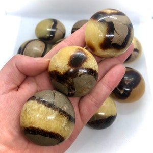 Septarian Palm Stones, Septarian Palms, Septarian Palmstones