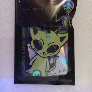 Cosmic Kitty the Alien Cat Keychain - Green/Blue