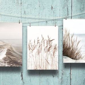 Puede incluir: Tres impresiones enmarcadas colgadas en una pared de madera azul. Las impresiones muestran una escena de playa con olas, un primer plano de hierba alta y una vista de la playa con hierba en primer plano.