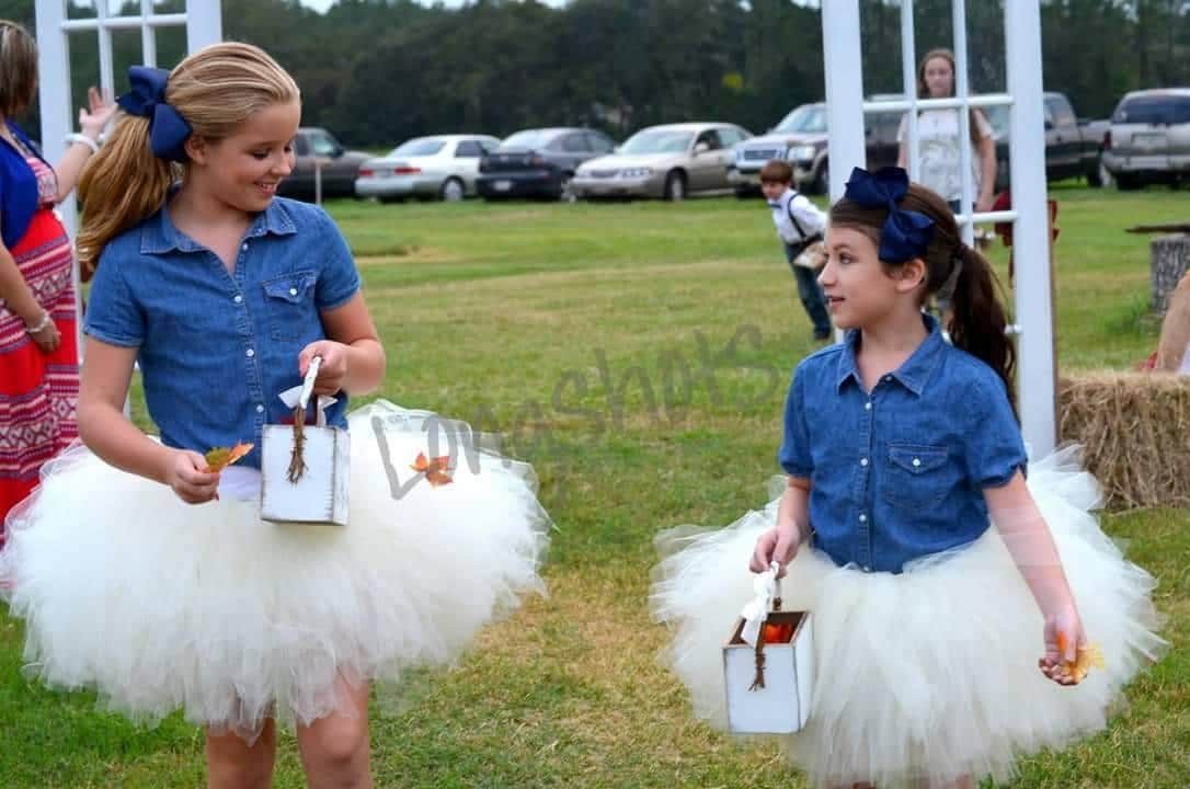 Toddler Baby Girl Long Sleeve Tulle Dress +Swan Print Denim Jacket