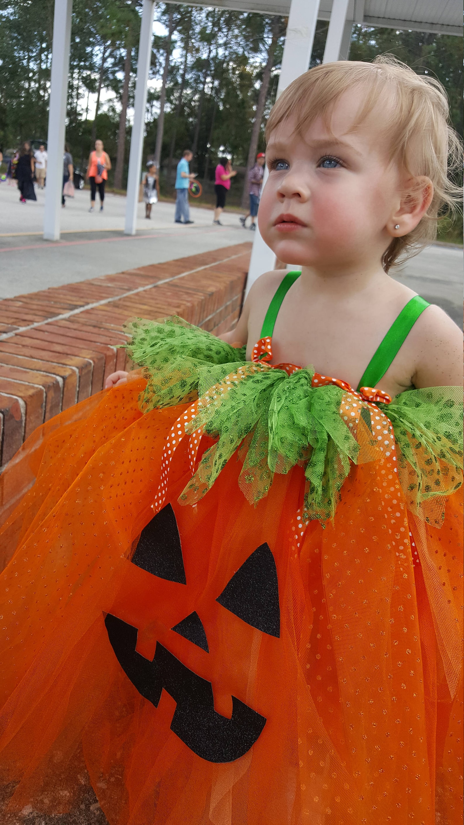 tulle pumpkin costume