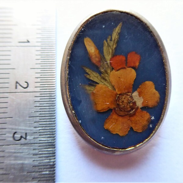 Anhänger, orange echte Blüten, blauer Grund, Silberfassung, 3 cm x 2 cm