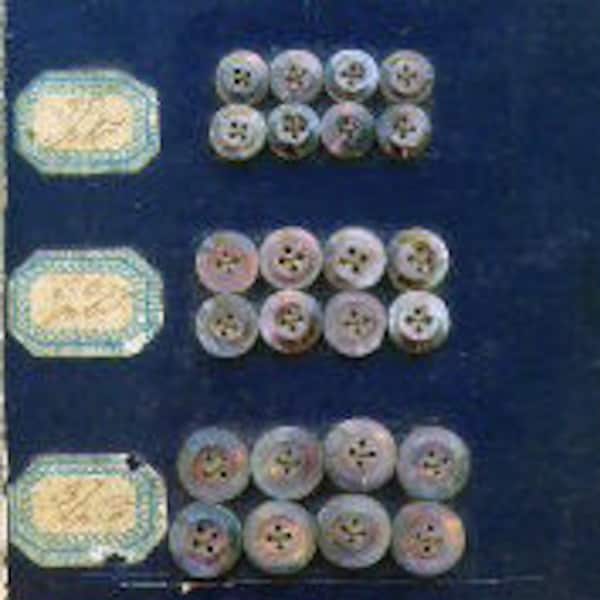 Musterkarte mit 64 Perlmutt-Knöpfen,  4-Lochknöpfe, ca 1900 ,buttons, Gr 3,2 - 3,9, mother of pearl, vintage