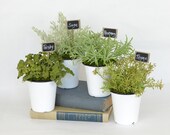 Faux Parsley, Sage, Rosemary, and Thyme in Enamel Pots and Garden Marker Signs