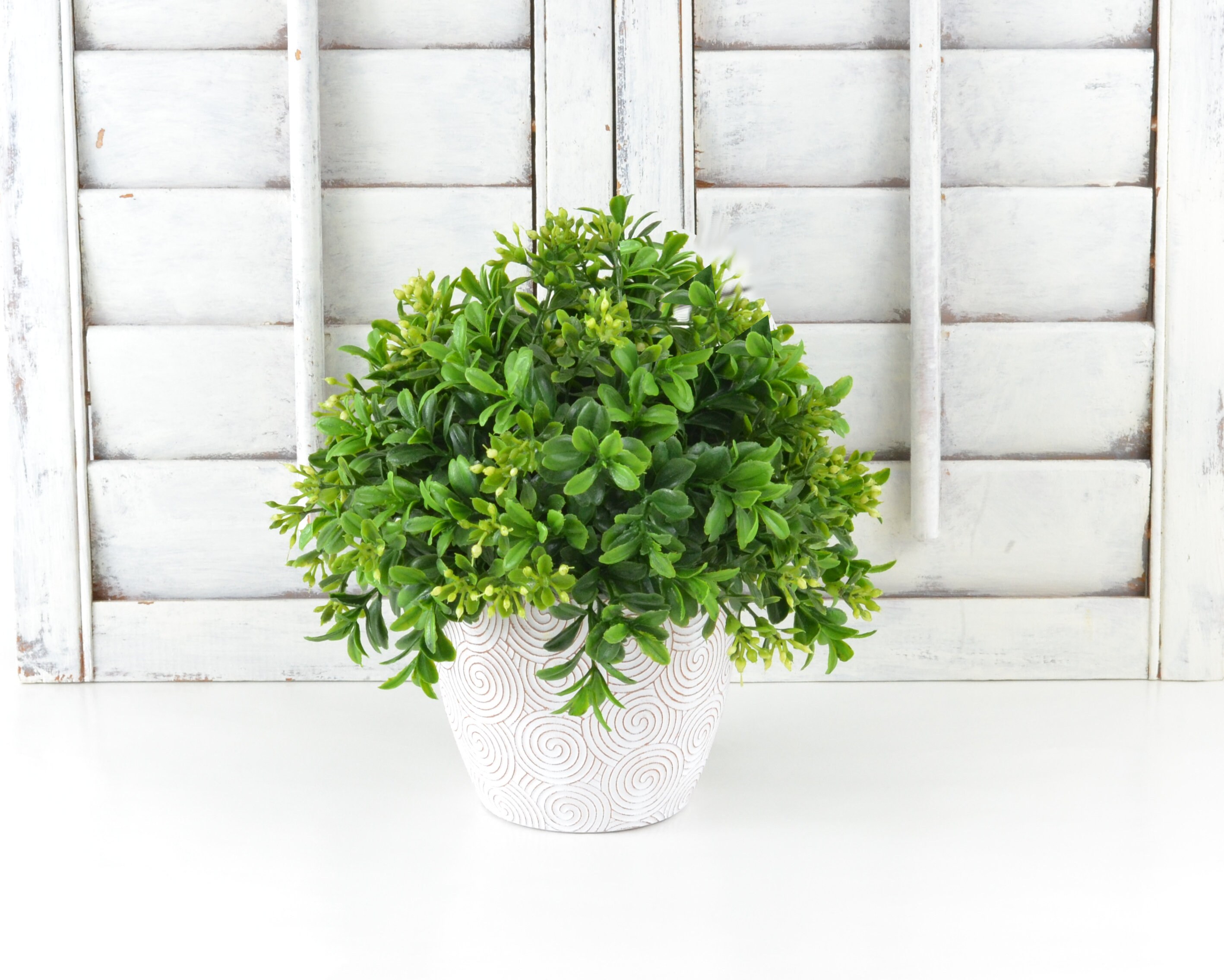 Faux Boxwood in a White Pot Small Shelf Plant Greenery Decor Etsy