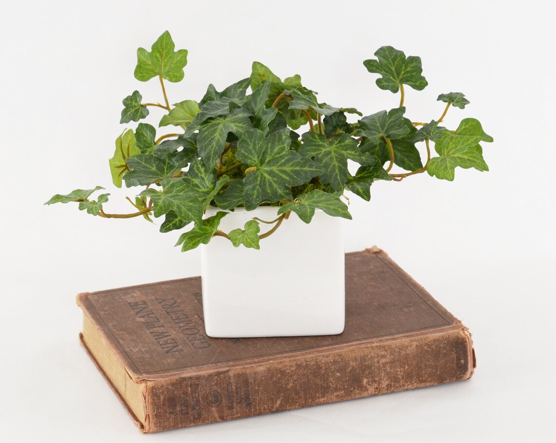 Faux Ivy Plant in a White Ceramic Pot Small Greenery Etsy