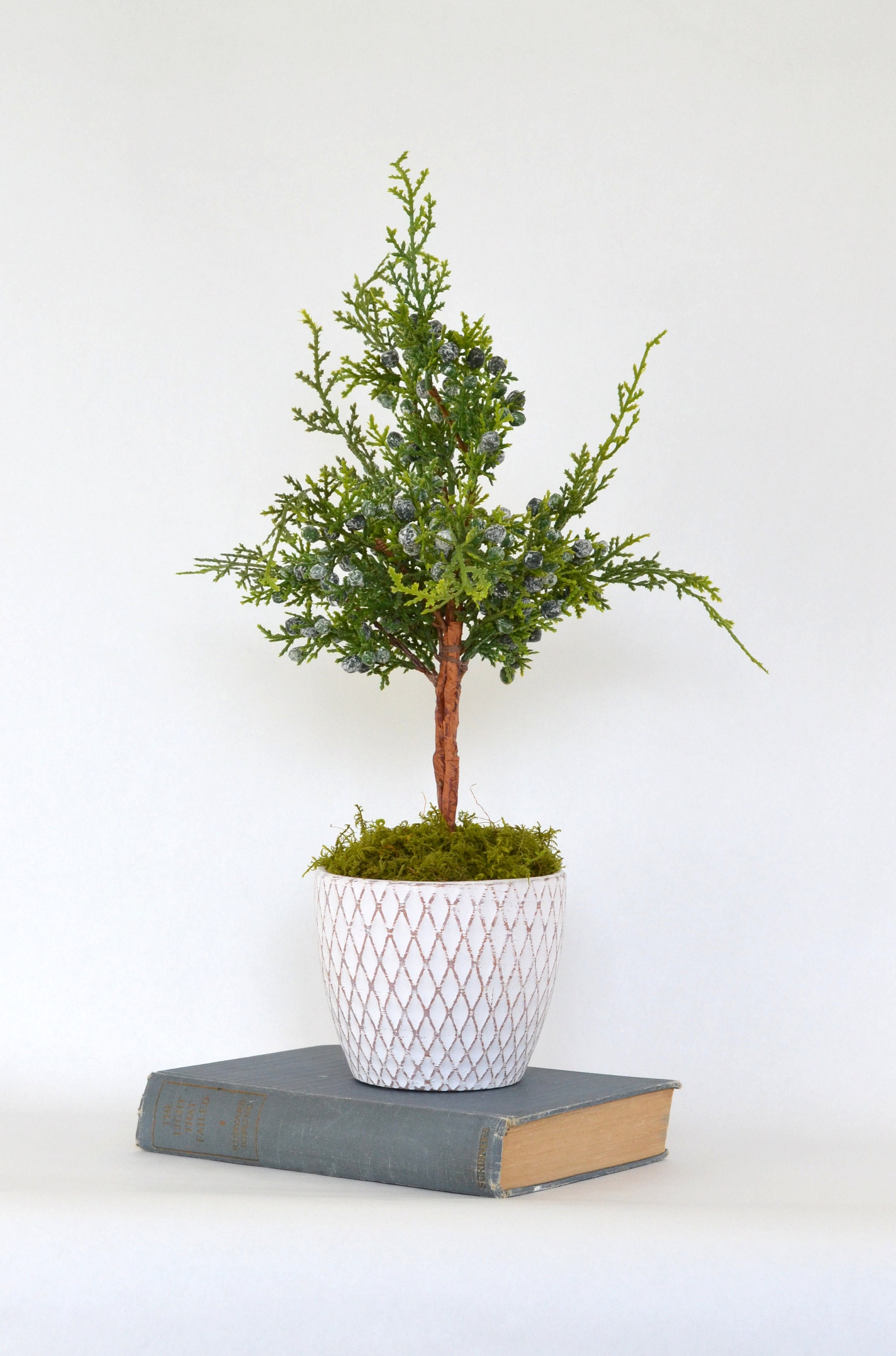 Juniper Topiary in a Whitewashed Clay Pot Faux Topiary Tree - Etsy UK