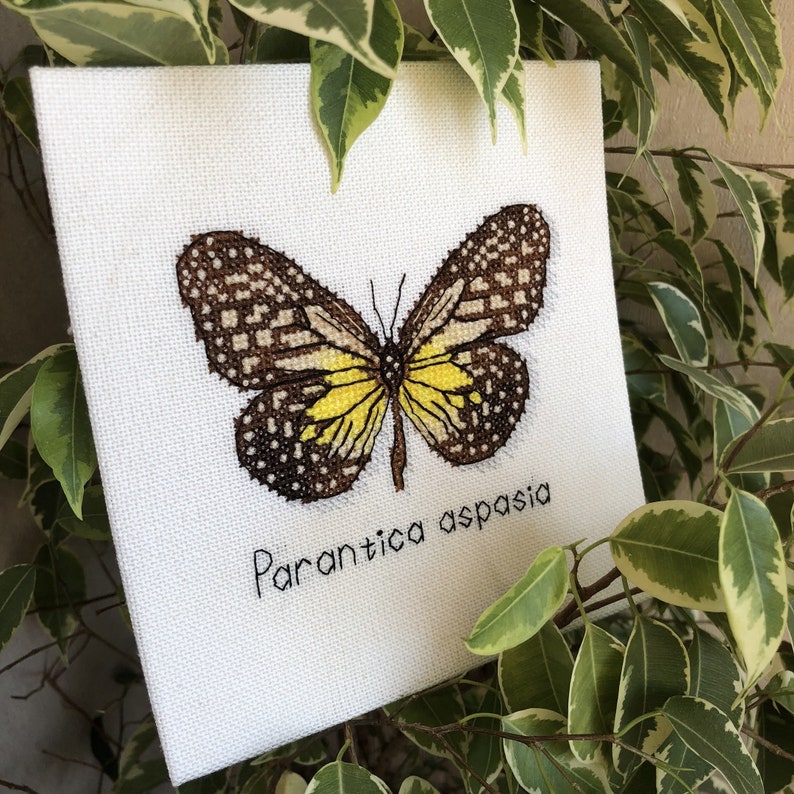 Butterfly Cross Stitch Pattern PDF Instant Download Parantica Aspasia Cross Stitch Nature Cross Stitch Brown Cross Stitch Yellow Xstitch