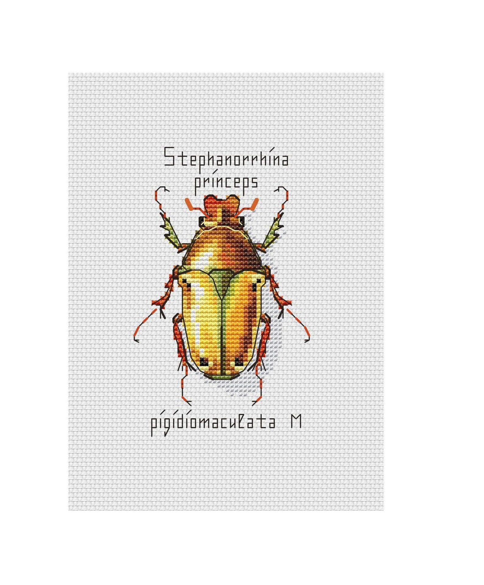 Beetle Cross Stitch Pattern PDF Instant Download Etsy