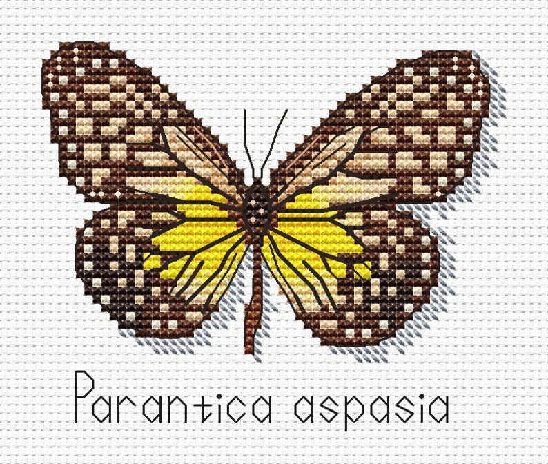 Butterfly Cross Stitch Pattern PDF Instant Download Parantica Aspasia Cross Stitch Nature Cross Stitch Brown Cross Stitch Yellow Xstitch