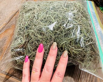 Spanish moss/Tillandsia/fresh/gallon bag packed/hand picked/craft/Halloween/coastal/plant decor/custom orders available