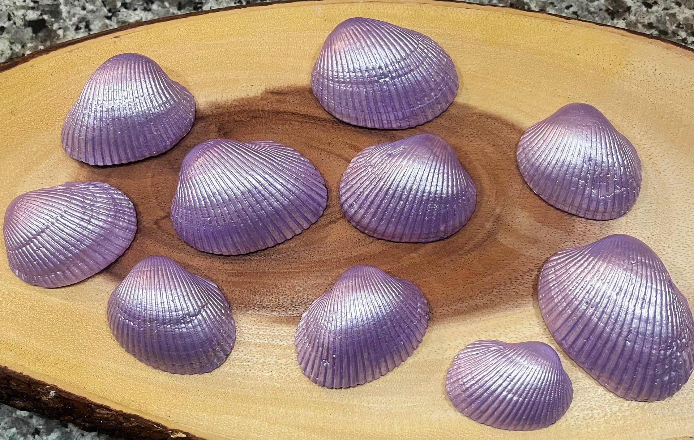 purple sea shells