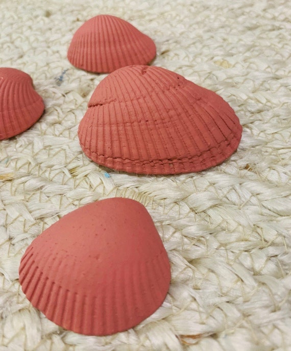 Coral Seashell Lot of 10/crafts/rustic/distressed/salt Etsy