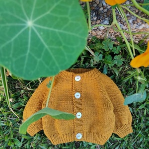 May include: A mustard yellow knitted cardigan with a button closure. The cardigan is lying on a bed of green grass.