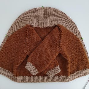 May include: A partially knitted jumper in progress on circular needles. The main body is a solid rust-brown colour with a ribbed collar and cuffs in a light beige. The garment features raglan sleeves and visible stitch markers.