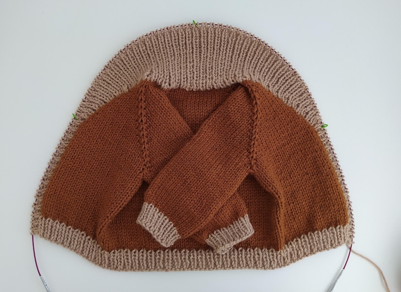 May include: A partially knitted jumper in progress on circular needles. The main body is a solid rust-brown colour with a ribbed collar and cuffs in a light beige. The garment features raglan sleeves and visible stitch markers.