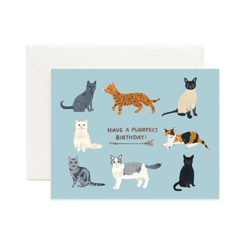 Cat Birthday Card // Kitten Birthday Card Cat Lover Gift Etsy