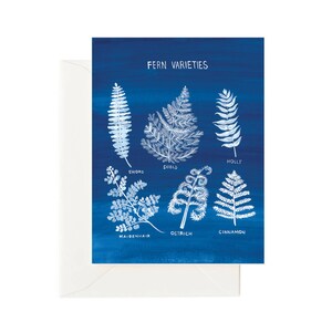 Carte de tous les jours plante fougère / carte de voeux vierge, carte fougère, carte de botanique, cadeau pour les amateurs de plantes, carte empreinte de soleil, carte de tous les jours, papeterie de bureau