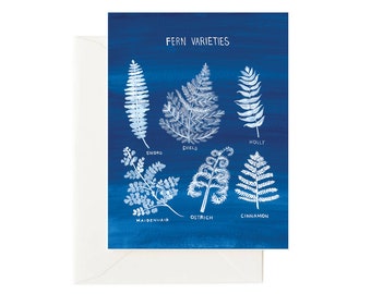 Fern Plant Everyday Card / Blank Greeting Card, Fern Card, Botany Card, Gift for Plant Lovers, Sunprint Card, Everyday Card, Desk Stationery