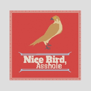 Nice Bird, Ahole Lies of Locke Lamora Scott Lynch Gentlemen Bastards Cross Stitch PDF Pattern image 1