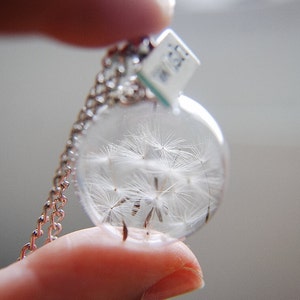 Clearance Dandelion Necklace Make A Wish Real Dandelion Seed Terrarium Jewelry Real Flower Jewelry Glass Bead Orb Necklace Botanical image 2