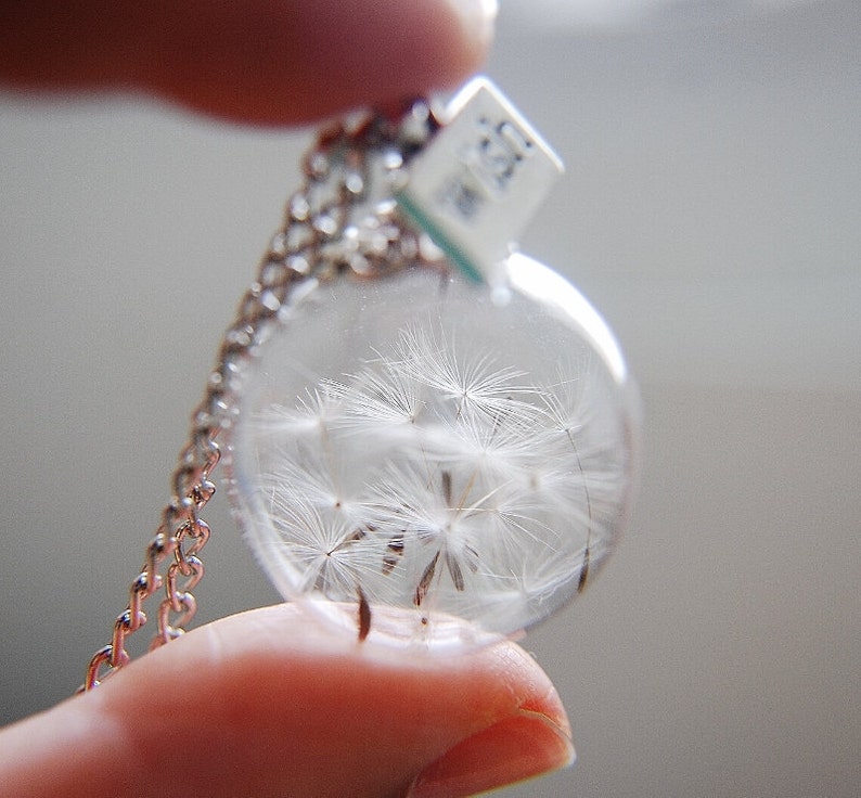 Clearance Dandelion Necklace Make A Wish Real Dandelion Seed Terrarium Jewelry Real Flower Jewelry Glass Bead Orb Necklace Botanical image 2