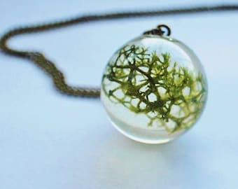 Moss Necklace Terrarium Jewelry Real Forest Lichen Orb Resin Pendant Botanical Dried Plant Nature Woodland