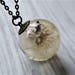 see more listings in the Dandelion Necklaces section