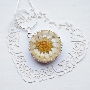 Collar de resina con margaritas auténticas: colgante de flor de plata, joyería botánica