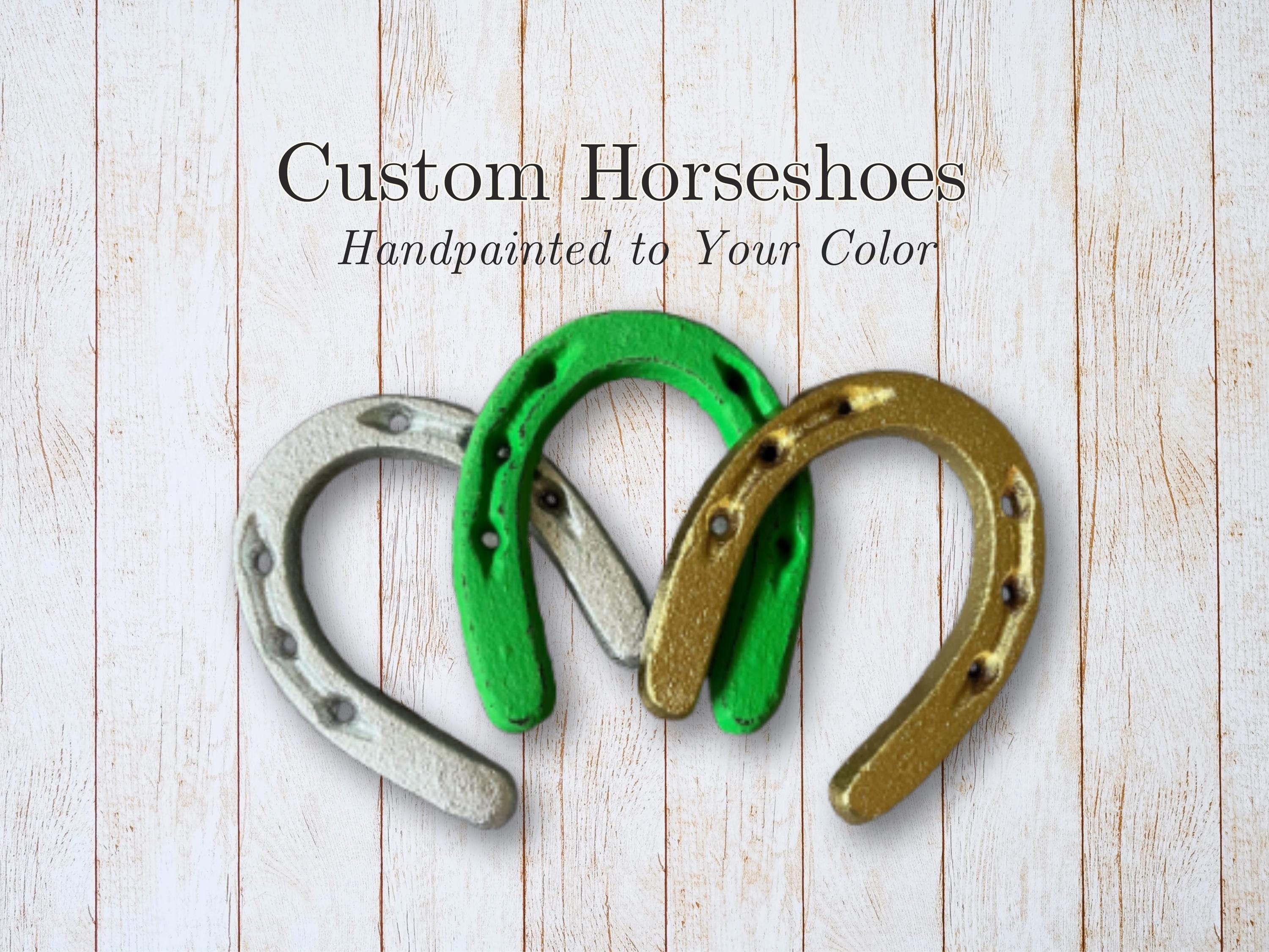 Hand Painted Horseshoe