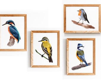 Kunstdruck - Posterset- 4 Vögel - Vogelillustration - Poster vogel