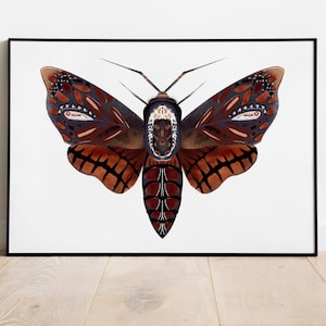Kunstdruk - illustratie - poster - mot - insect - natuur