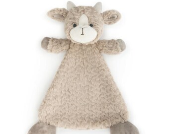 baby goat teddy