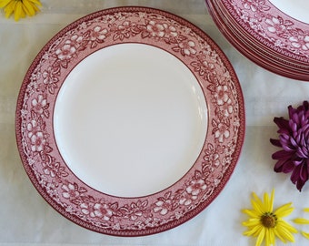 Williams Sonoma MIDDAGSTALLERK 25 cm - Mayfair-mönster - Rosaröd Transferware - Blommor Frukter Löv Slingor Kant - Wedgwood & Sons, England