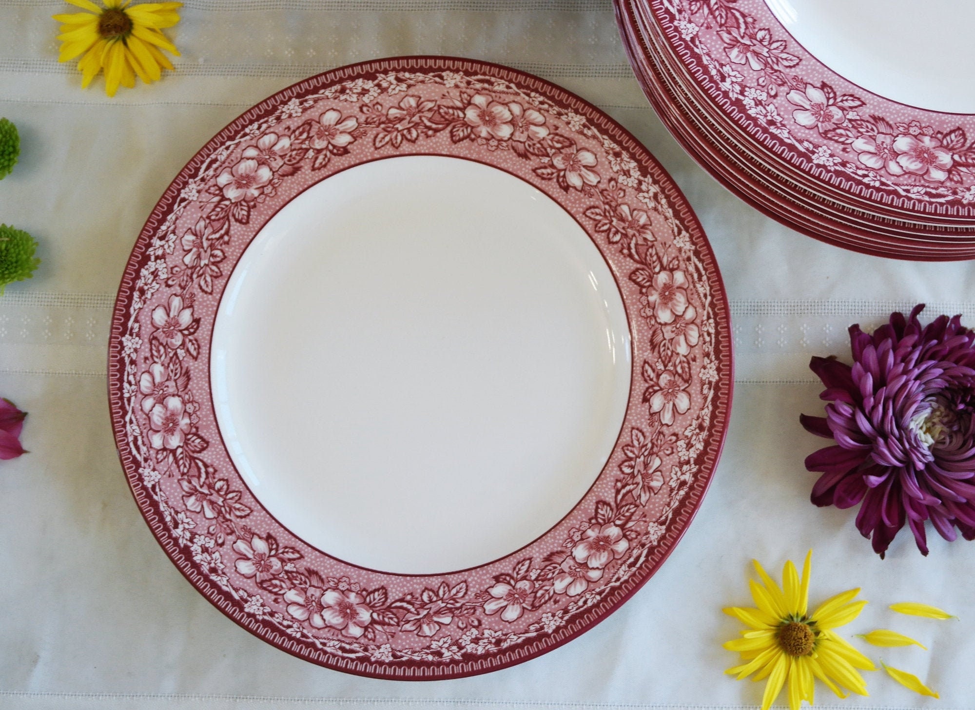 Williams Sonoma DINNER PLATE 10.5 Mayfair Pattern Pink Red Transferware  Flowers Fruits Leaves Vines Border Wedgwood & Sons, England 