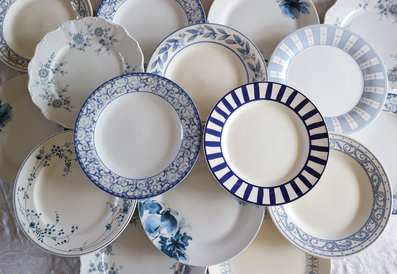 Blue White DINNER PLATES Porcelain China Stoneware Mix Etsy