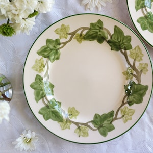 Franciscan Ivy II DINNER PLATE 10.75&quot; - Johnson Brothers England - Green Ivory - Ivy Vines Leaves Border - Farmhouse Country Kitchen Decor