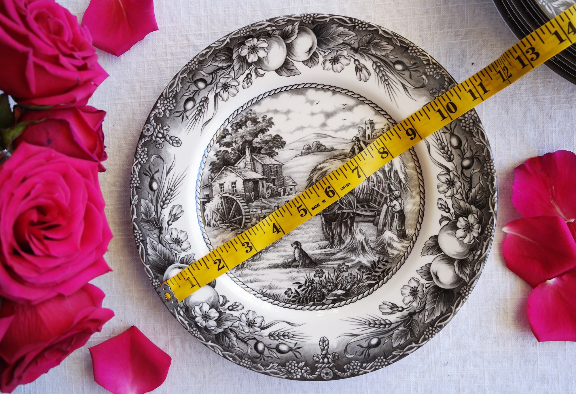 Royal Stafford DINNER PLATE - Size 11