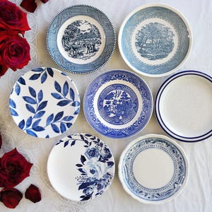 May include: A collection of eight decorative plates with blue and white patterns. The plates showcase diverse designs, including floral, botanical, and landscape illustrations. Some plates have a plain white base with blue detailing, while others have complex blue patterns.