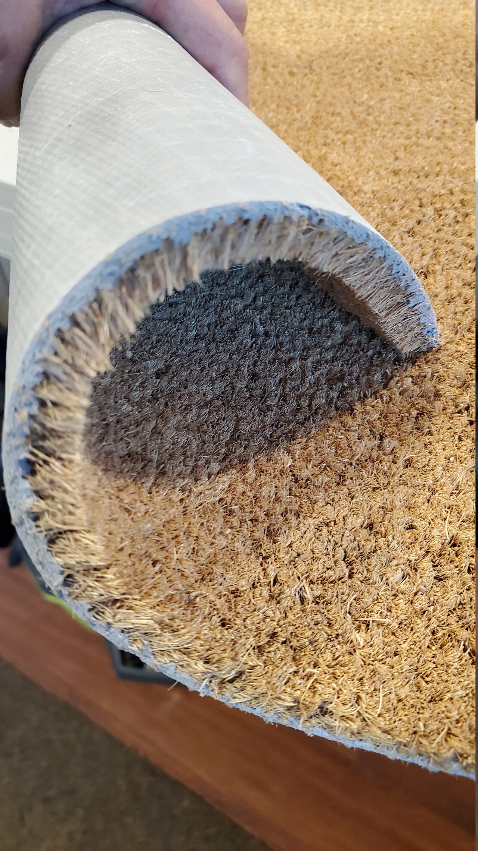 Birds on a Wire Doormat and Many Other Custom Doormats / Gifts Etsy