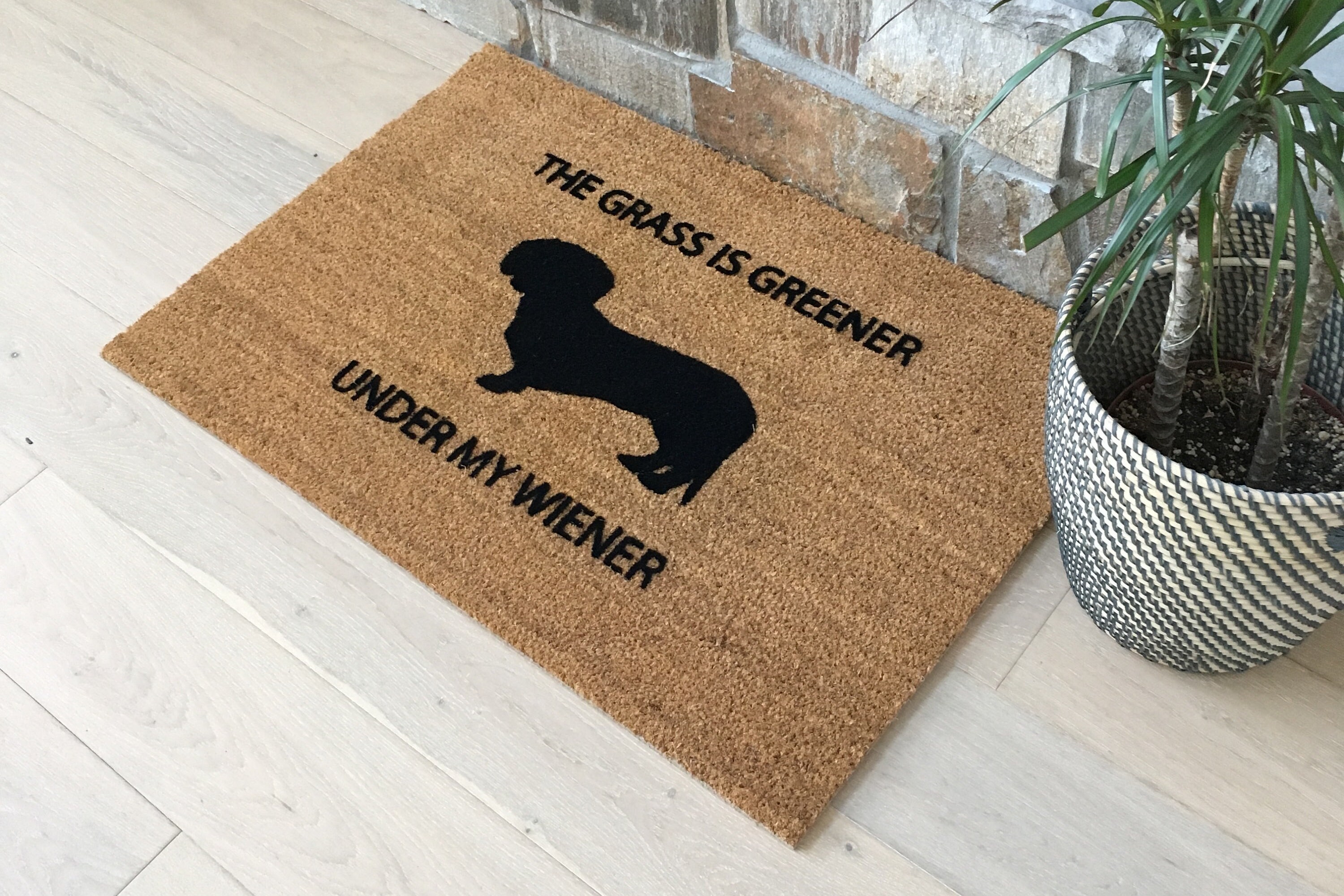 Door Mat Indoor Entrance Porch Welcome Funny Non-Slip Floor Mat Dog The  Road Doormat Home Decor Dachshund - Nethomellc